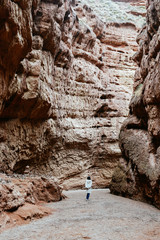 Obraz premium Single Asian girl walks in valley