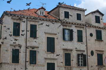 Fototapeta premium historical Dubrovnik 