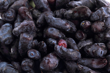 Honeysuckle berries background