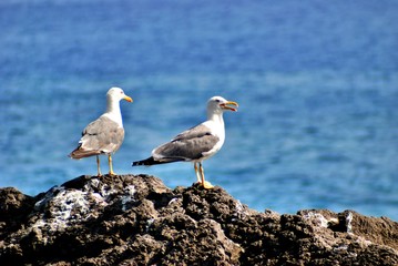 Sea prints from El Remo, on the island of La Palma