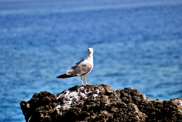 Sea prints from El Remo, on the island of La Palma
