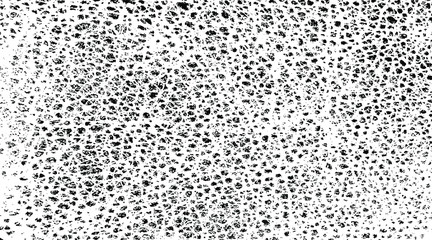 Rough black and white texture vector. Distressed overlay texture. Grunge background. Abstract textured effect. Vector Illustration. Black isolated on white background. EPS10.