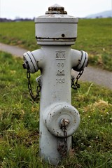 red fire hydrant in the park