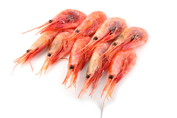 Shrimps