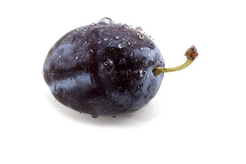 Black plum