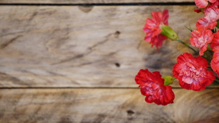 Fototapeta premium zielony