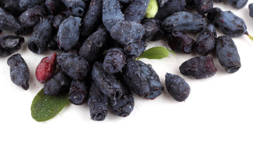 Honeysuckle berries background