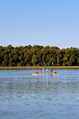Fototapeta na wymiar Four people-tourist row on a large stand up paddle board on the Danube river at summer
