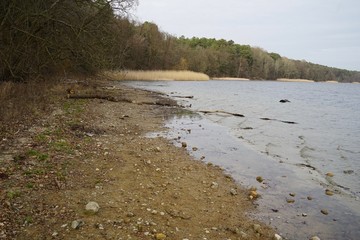 Siltation at lake Straussee due to climate change and other environmental reasons