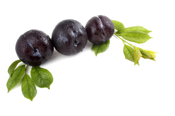 Black plums and leaves