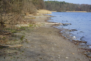Siltation at lake Straussee due to climate change and other environmental reasons