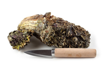 Oysters and knife