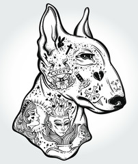 Obraz premium Bull terrier's portrait made in an old-stylized tattoo. Vector illustration for coloring book, t-shirts, tattoo art, boho design, posters, textiles. Isolated vector illustration.