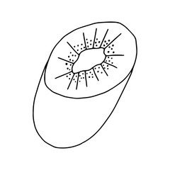 Kiwi in the Doodle section illustration.Contour drawing of a peach isolated on a white background.Tropical fruit.Hand drawing with a line.Vector illustration.