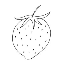 Strawberry with a Doodle leaf illustration.Contour drawing of a peach isolated on a white background.Tropical fruit.Hand drawing with a line.Vector illustration.