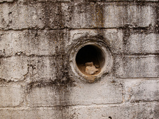 wall of concrete and brick with drain pipe