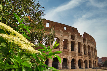 Obraz premium Colosseum. Rome amphitheatre and Italy landmark. Travel and tourism