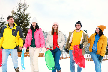 Group of friends outdoors on snowy day. Winter vacation