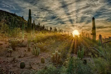 Zelfklevend Fotobehang Arizona "Desert Sunrays At Sunset"