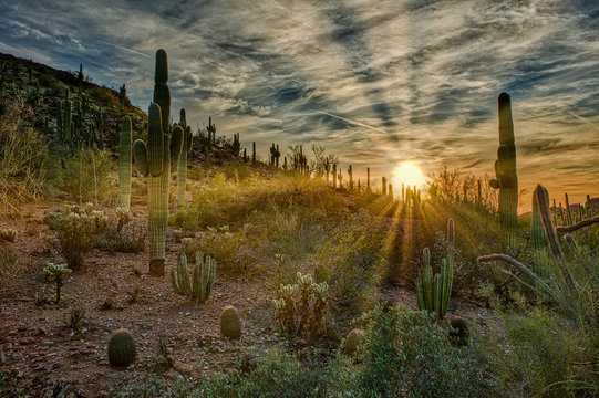 "Desert Sunrays At Sunset"