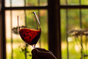 Degustador de vinho no Chile, taça de vinho tinto