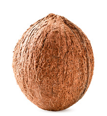 Coconut close-up on a white background. Isolated