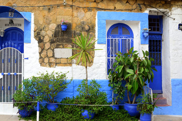 Fototapeta na wymiar blue door and flowers