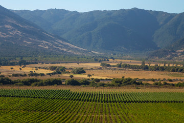 Fototapeta na wymiar Fazendas de produção de vinhos em vales no Chile