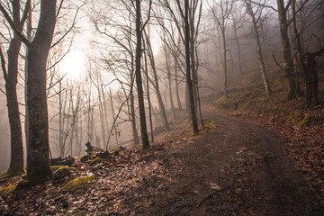 Fototapeta premium Fog on the trail of Mount Ekaitza, Navarre