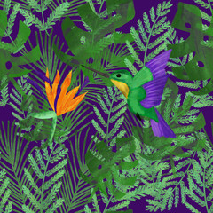 bird of paradise. Watercolor colibri and strelitzia on tropical leaves on violet background. Summer pattern.