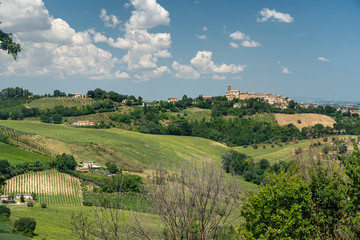 Fototapeta na wymiar Rural landscape near Monterubbiano, Marches, Italy