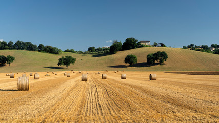 Fototapeta na wymiar Rural landscape near Petriolo, Marches, Italy