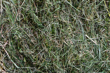 Background with the image of hay