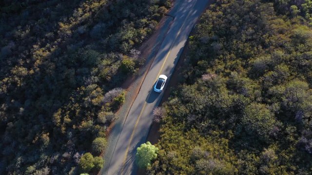 aerial view of car driving on beautiful countryside road at Mount Diablo in Bay Area, California
