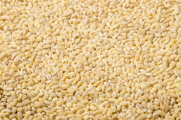 dry pearl barley texture background. Top view. Texture, place for text.