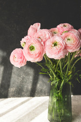 Ranunculus asiaticus or Persian Buttercup. Bouquet of pastel pink blossom . White and black background, glass vase, shadows. Greeting card with copy space. Birthday, Mother's, Women's Day concept. 