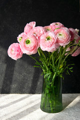 Ranunculus asiaticus or Persian Buttercup. Bouquet of pastel pink blossom . White and black background, glass vase, shadows. Greeting card with copy space. Birthday, Mother's, Women's Day concept. 