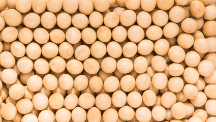 Soybeans grains arranged in a plan for background.
