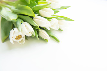 Bouquet of flowers. White Tulip on white background. Beautiful flowers for valentines and wedding scene. Valentines and 8 March Mother Women's Day concept.