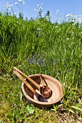 Wooden spoons and wooden bowl on green grass