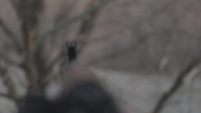 Shooter aiming target with assault rifle weapon. Dangerous bandit aiming gun. Special soldier during the military operation mountain road. Selective focus