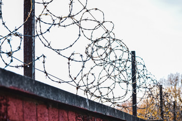 Barbed wire spiraling on top of a red brick wall. Blurred conceptual background.