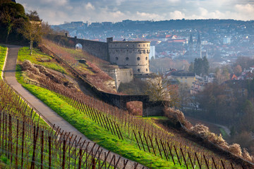 Wurzburg. Vineyards on the walls.