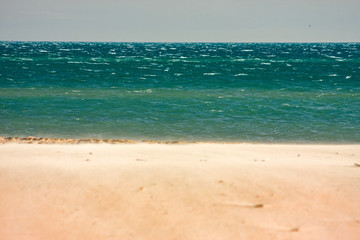Beach by the sea, windswept.