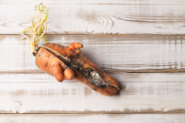 Spoiled ugly carrots with mold, on a light wooden background. Bad food shows its naturalness.