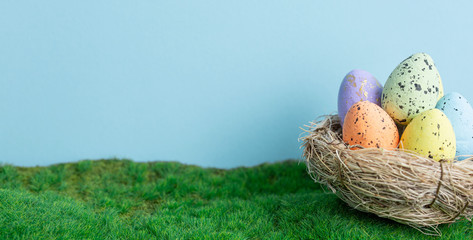 Easter color eggs in bird nest on fresh green moss