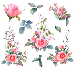 Set of picturesque pink roses arrangements with herbs, leaves, flowers and buds hand drawn in watercolor isolated on a white background. Ideal for creating invitations, cards, prints and patterns.