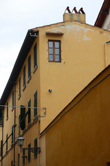 Architectonic heritage in the old town of Florence