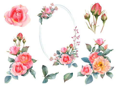 Set of picturesque pink and tea roses arrangements with herbs, leaves, flowers, buds and floral frame hand drawn in watercolor isolated on a white background. For invitations, cards, prints, patterns