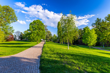 Spring view in Letna Park, Prague, Czech Republic. Spring in Prague (Praha), beautiful Letna park (Letenske sady) in sunlight, sunny landscape, popular tourist destination, Prague, Czech Republic